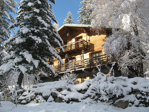 Chalet  Ski Lodge